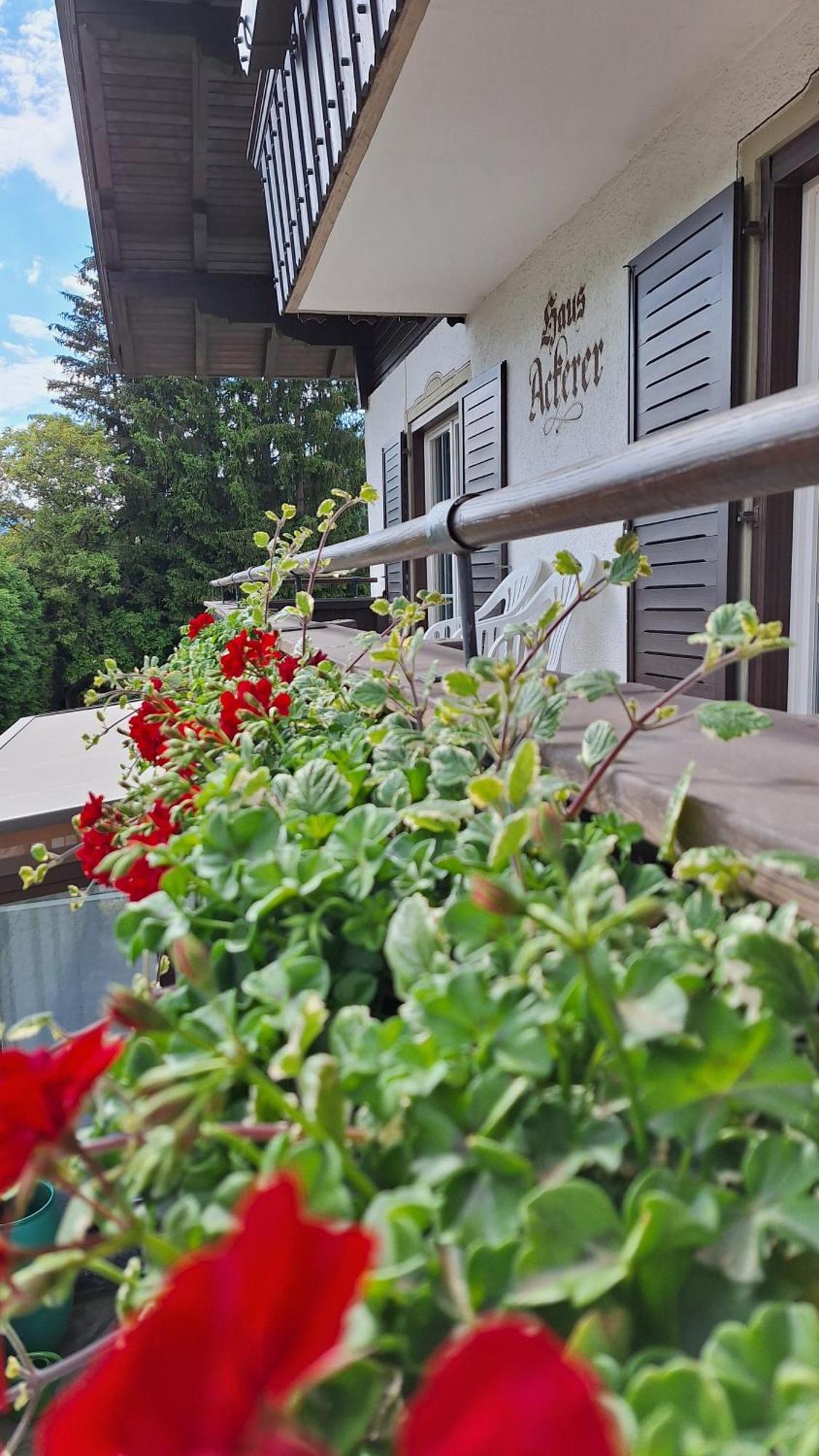 Apartamento Haus Ackerer Leogang Exterior foto